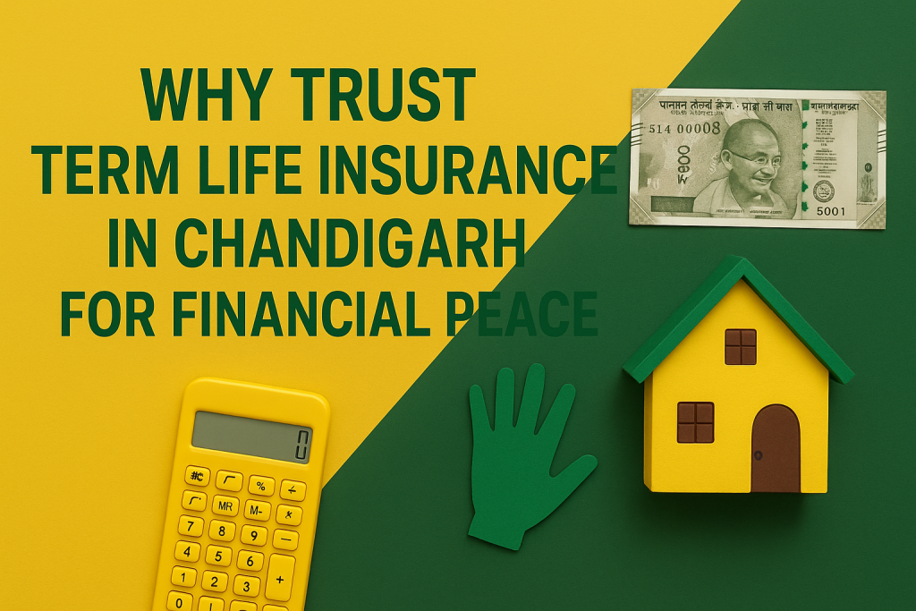Term Life Insurance in Chandigarh